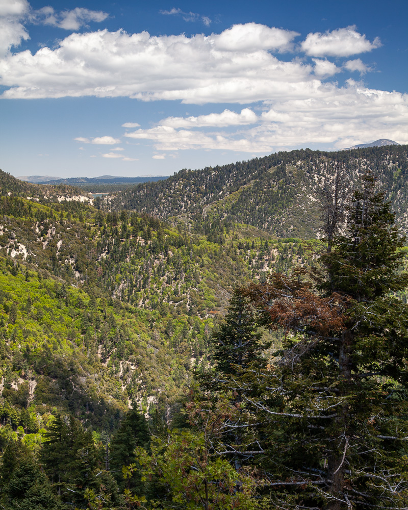 Recon Trip to Big Bear&nbsp;Lake